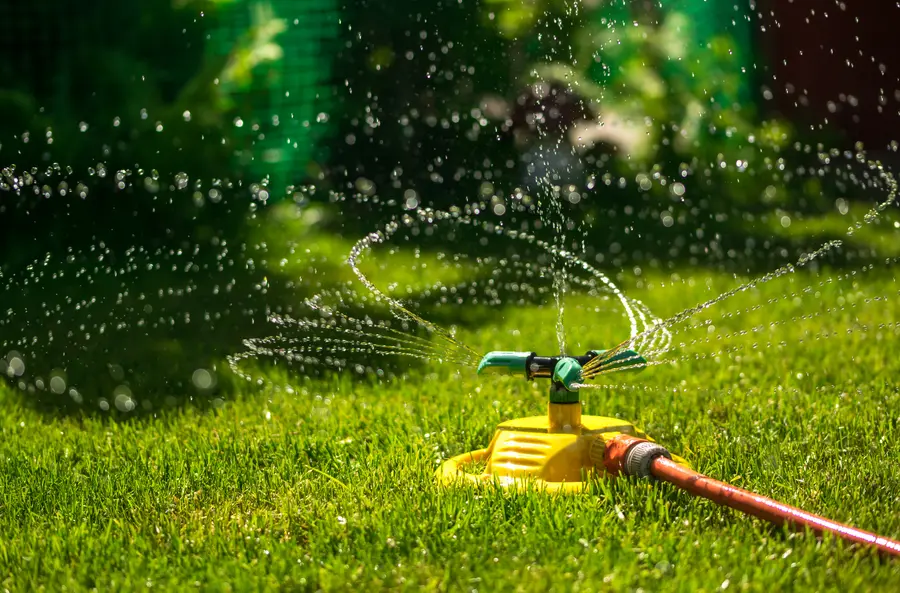 Factors To Consider When Choosing A Sprinkler System in Minneapolis, MN