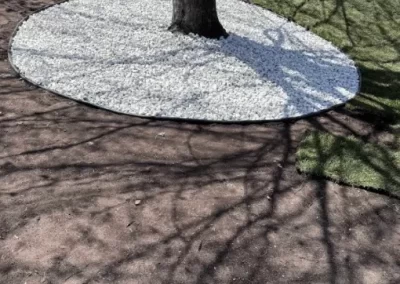 Hardscaping (2)
